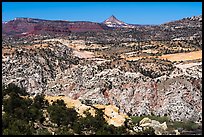 Cockscomb Fault and Mollies Nipple. Grand Staircase Escalante National Monument, Utah, USA ( color)