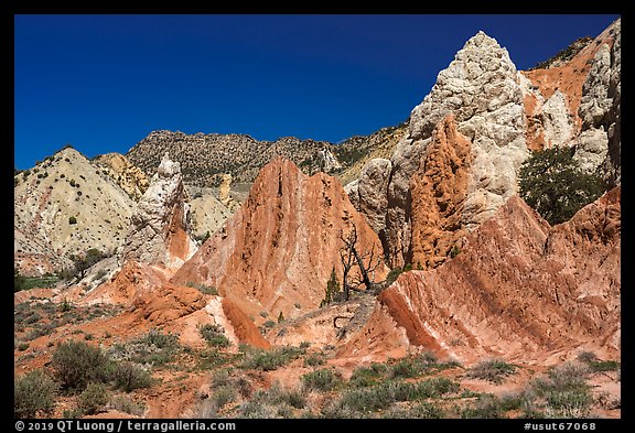 Candyland Hill. Grand Staircase Escalante National Monument, Utah, USA (color)