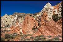 Candyland Hill. Grand Staircase Escalante National Monument, Utah, USA ( color)