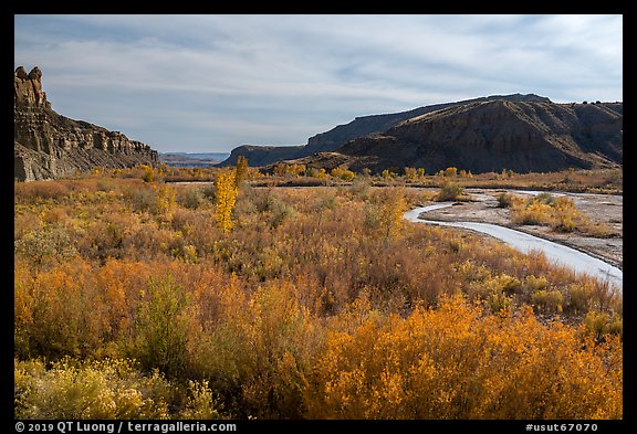 Autum foliage and stream, Cottonwood Canyon. Grand Staircase Escalante National Monument, Utah, USA (color)