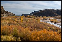 Autum foliage and stream, Cottonwood Canyon. Grand Staircase Escalante National Monument, Utah, USA ( color)