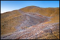 Expanse of cross-bedded sandstone leading to summit of Yellow Rock. Grand Staircase Escalante National Monument, Utah, USA ( color)