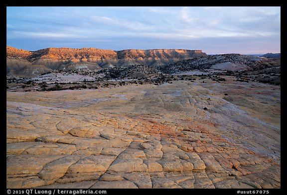Looking down cross-bedded sandstone from Yellow Rock. Grand Staircase Escalante National Monument, Utah, USA (color)