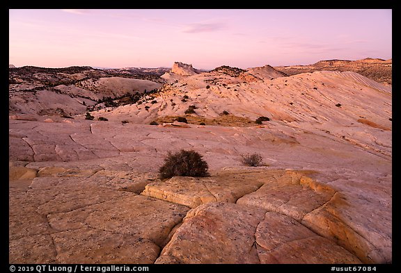 Yellow Rock cross-bedding and Castle Rock. Grand Staircase Escalante National Monument, Utah, USA (color)