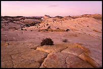 Yellow Rock cross-bedding and Castle Rock. Grand Staircase Escalante National Monument, Utah, USA ( color)