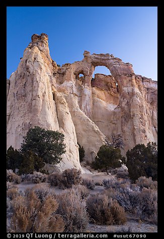 Sagebrush and Grosvenor Arch at dawn. Grand Staircase Escalante National Monument, Utah, USA (color)