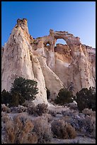 Sagebrush and Grosvenor Arch at dawn. Grand Staircase Escalante National Monument, Utah, USA ( color)