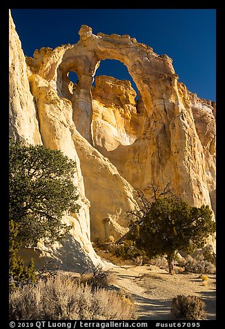 Grosvenor Arch, early morning. Grand Staircase Escalante National Monument, Utah, USA (color)