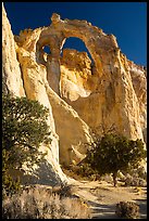 Grosvenor Arch, early morning. Grand Staircase Escalante National Monument, Utah, USA ( color)