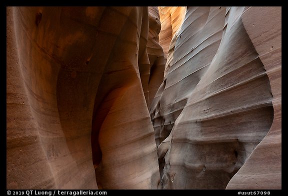 Zebra Slot Canyon. Grand Staircase Escalante National Monument, Utah, USA (color)