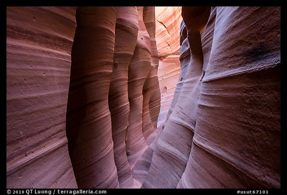 Colorfully striated walls, Zebra Slot Canyon. Grand Staircase Escalante National Monument, Utah, USA (color)