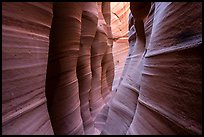 Colorfully striated walls, Zebra Slot Canyon. Grand Staircase Escalante National Monument, Utah, USA ( color)