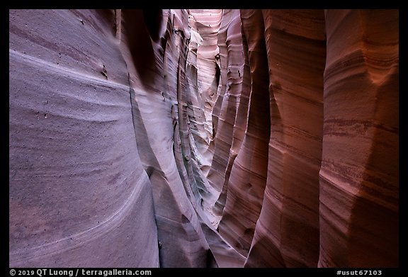 Walls streaked with pink and white stripes, Zebra Slot Canyon. Grand Staircase Escalante National Monument, Utah, USA (color)