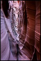 Striped walls, Zebra Slot Canyon. Grand Staircase Escalante National Monument, Utah, USA ( color)