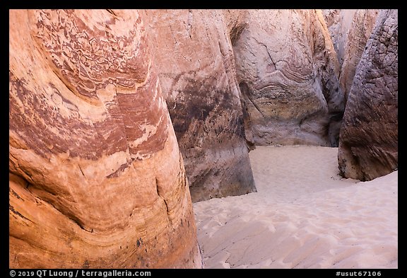 Entrance to Zebra Slot Canyon. Grand Staircase Escalante National Monument, Utah, USA (color)