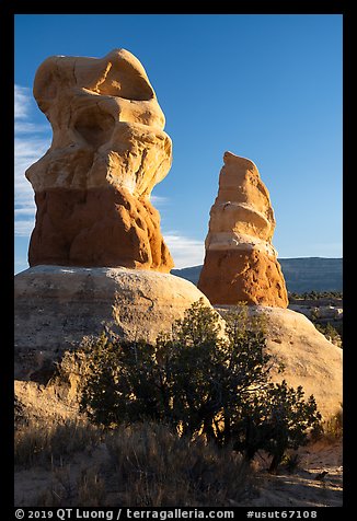 Hoodoos, Devils Garden. Grand Staircase Escalante National Monument, Utah, USA (color)