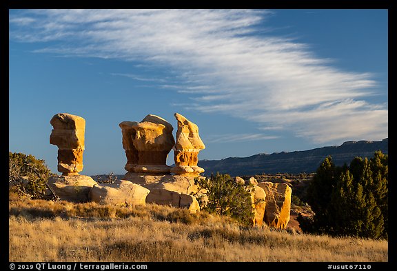 Hoodoos at sunset, Devils Garden. Grand Staircase Escalante National Monument, Utah, USA (color)