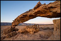 Slender and jagged Sunset Arch and the Straight Cliffs, sunrise. Grand Staircase Escalante National Monument, Utah, USA ( color)