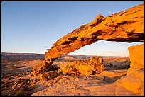 Entrada Sandstone Sunset Arch at sunrise. Grand Staircase Escalante National Monument, Utah, USA ( color)