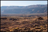 Slickrock with arches and Straight Cliffs, Fortymile Ridge. Grand Staircase Escalante National Monument, Utah, USA ( color)