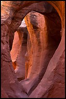 Large arches in Peek-a-Boo slot canyon. Grand Staircase Escalante National Monument, Utah, USA ( color)