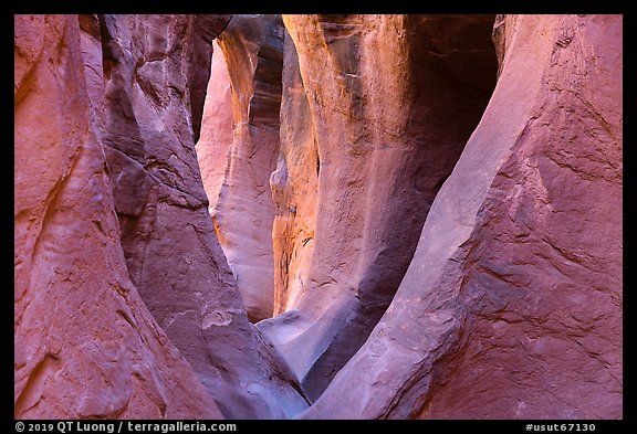 Series of arches in Peek-a-Boo slot canyon. Grand Staircase Escalante National Monument, Utah, USA (color)