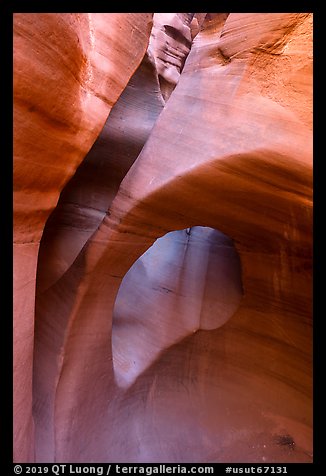 Small arch, Peek-a-Boo slot canyon. Grand Staircase Escalante National Monument, Utah, USA (color)