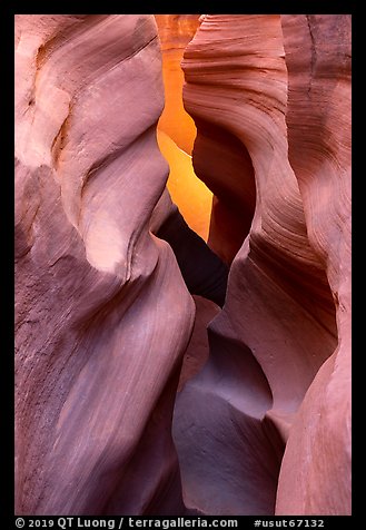 Sculpted walls, Peek-a-Boo slot canyon. Grand Staircase Escalante National Monument, Utah, USA (color)
