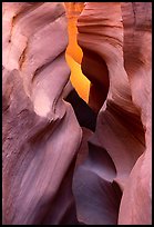 Sculpted walls, Peek-a-Boo slot canyon. Grand Staircase Escalante National Monument, Utah, USA ( color)