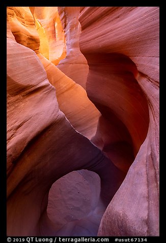 Sculpted sandstone walls and small arch, Peek-a-Boo slot canyon. Grand Staircase Escalante National Monument, Utah, USA (color)