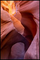 Sculpted sandstone walls and small arch, Peek-a-Boo slot canyon. Grand Staircase Escalante National Monument, Utah, USA ( color)