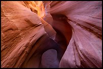 Sculpted walls and arch, Peek-a-Boo slot canyon, Dry Fork Coyote Gulch. Grand Staircase Escalante National Monument, Utah, USA ( color)