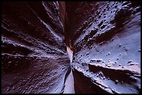 Walls textured with knobs, Spooky slot canyon. Grand Staircase Escalante National Monument, Utah, USA ( color)