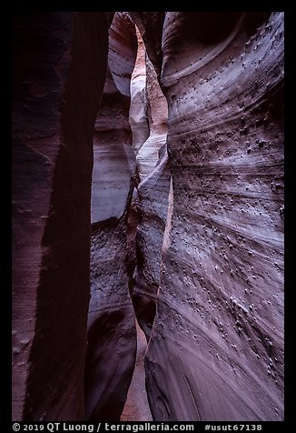 Textured walls, Spooky slot canyon, Dry Fork Coyote Gulch. Grand Staircase Escalante National Monument, Utah, USA (color)