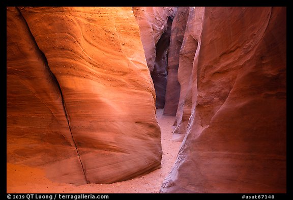 Canyon floor and walls, Spooky slot canyon. Grand Staircase Escalante National Monument, Utah, USA (color)