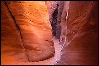 Canyon floor and walls, Spooky slot canyon. Grand Staircase Escalante National Monument, Utah, USA ( color)