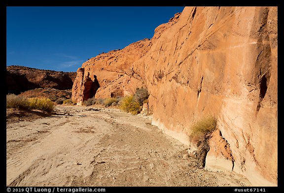 Coyote Gulch dry creek bed. Grand Staircase Escalante National Monument, Utah, USA (color)