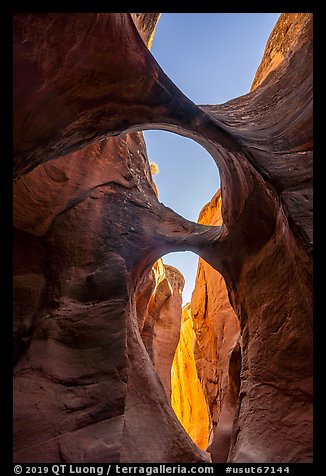 Double arches and sky, Peek-a-Boo slot canyon. Grand Staircase Escalante National Monument, Utah, USA (color)