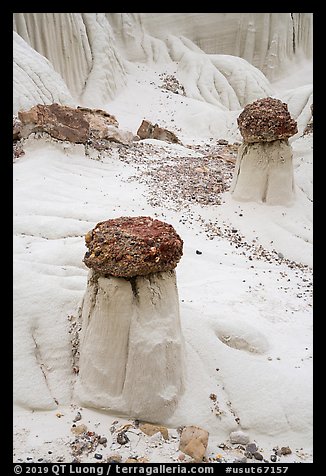 Short caprock formations. Grand Staircase Escalante National Monument, Utah, USA (color)