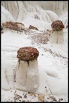 Short caprock formations. Grand Staircase Escalante National Monument, Utah, USA ( color)