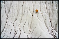 Close up of stone and silt rock. Grand Staircase Escalante National Monument, Utah, USA ( color)