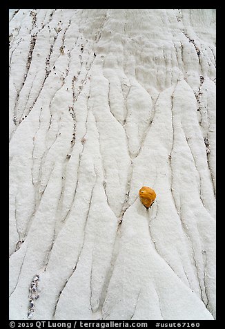 Close up of silt stone with erosion patterns and rock. Grand Staircase Escalante National Monument, Utah, USA (color)