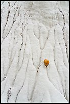 Close up of silt stone with erosion patterns and rock. Grand Staircase Escalante National Monument, Utah, USA ( color)