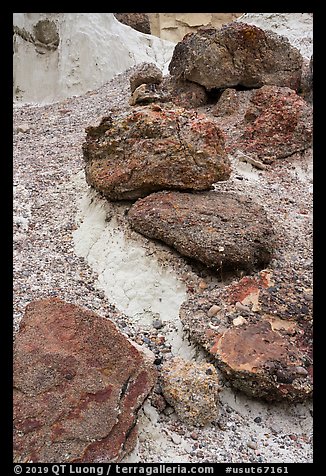 Rocks and siltstone. Grand Staircase Escalante National Monument, Utah, USA (color)