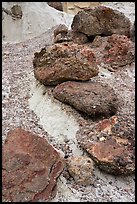 Rocks and siltstone. Grand Staircase Escalante National Monument, Utah, USA ( color)