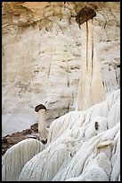 Slender caprock spires and cliff. Grand Staircase Escalante National Monument, Utah, USA ( color)