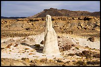 Siltstone spire, Wahweap Wash. Grand Staircase Escalante National Monument, Utah, USA ( color)