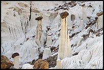 Group of silt stone caprocks called Towers of Silence. Grand Staircase Escalante National Monument, Utah, USA ( color)