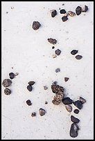 Close up of stones and silt stone. Grand Staircase Escalante National Monument, Utah, USA ( color)