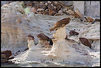 Caprocks, Rocks, and cliffs. Grand Staircase Escalante National Monument, Utah, USA ( color)